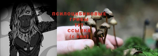 трава Баксан