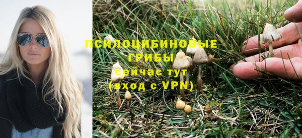 дурь Балахна