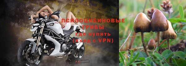 дурь Балахна