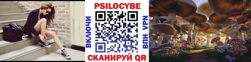 Псилоцибиновые грибы GOLDEN TEACHER Кунгур